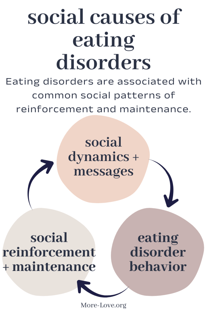 Infographic showing social and cultural factors that influence eating disorders